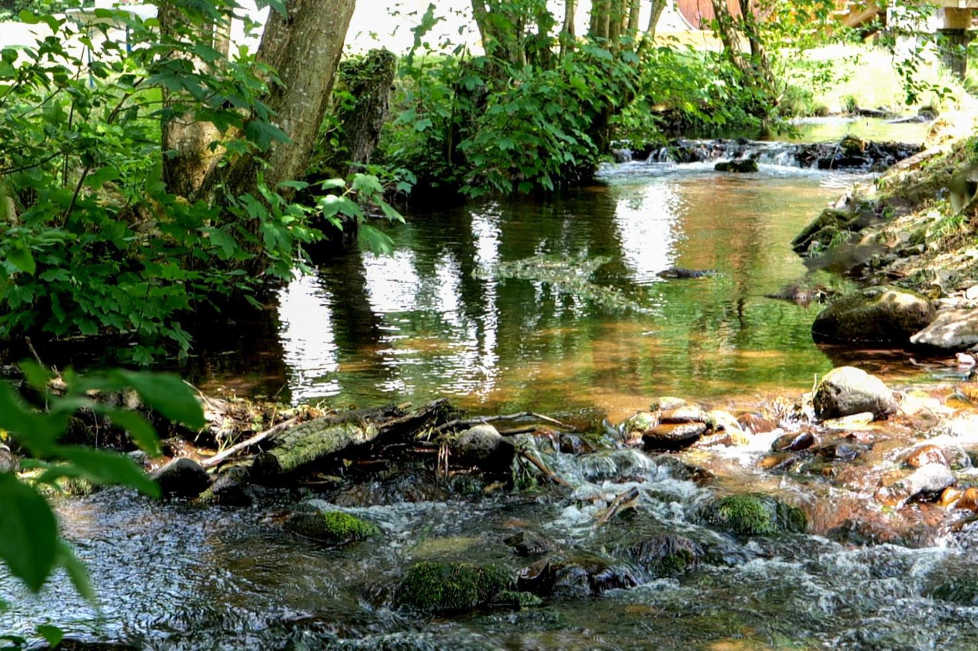Les Jardins Du Nideck Βίλα Oberhaslach Εξωτερικό φωτογραφία